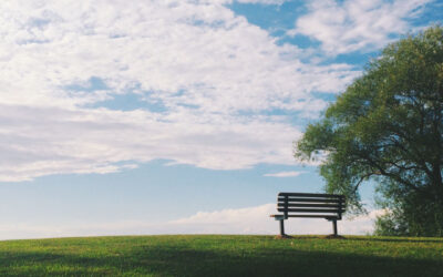 Funeral Arranging – The First Steps