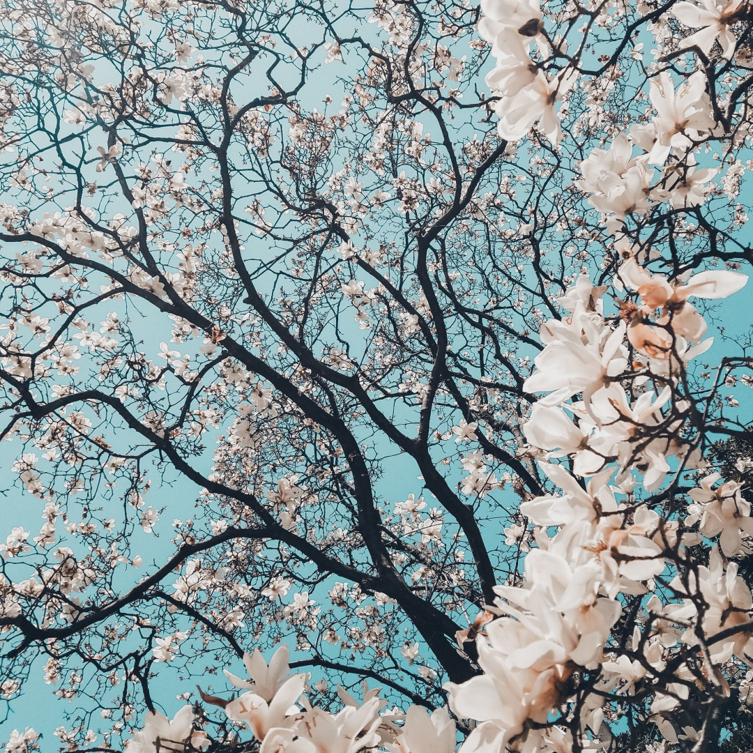 Funeral Etiquette – A Brief Guide   