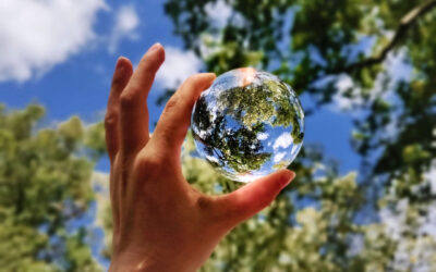 Eco-friendly Funerals – What Are They?