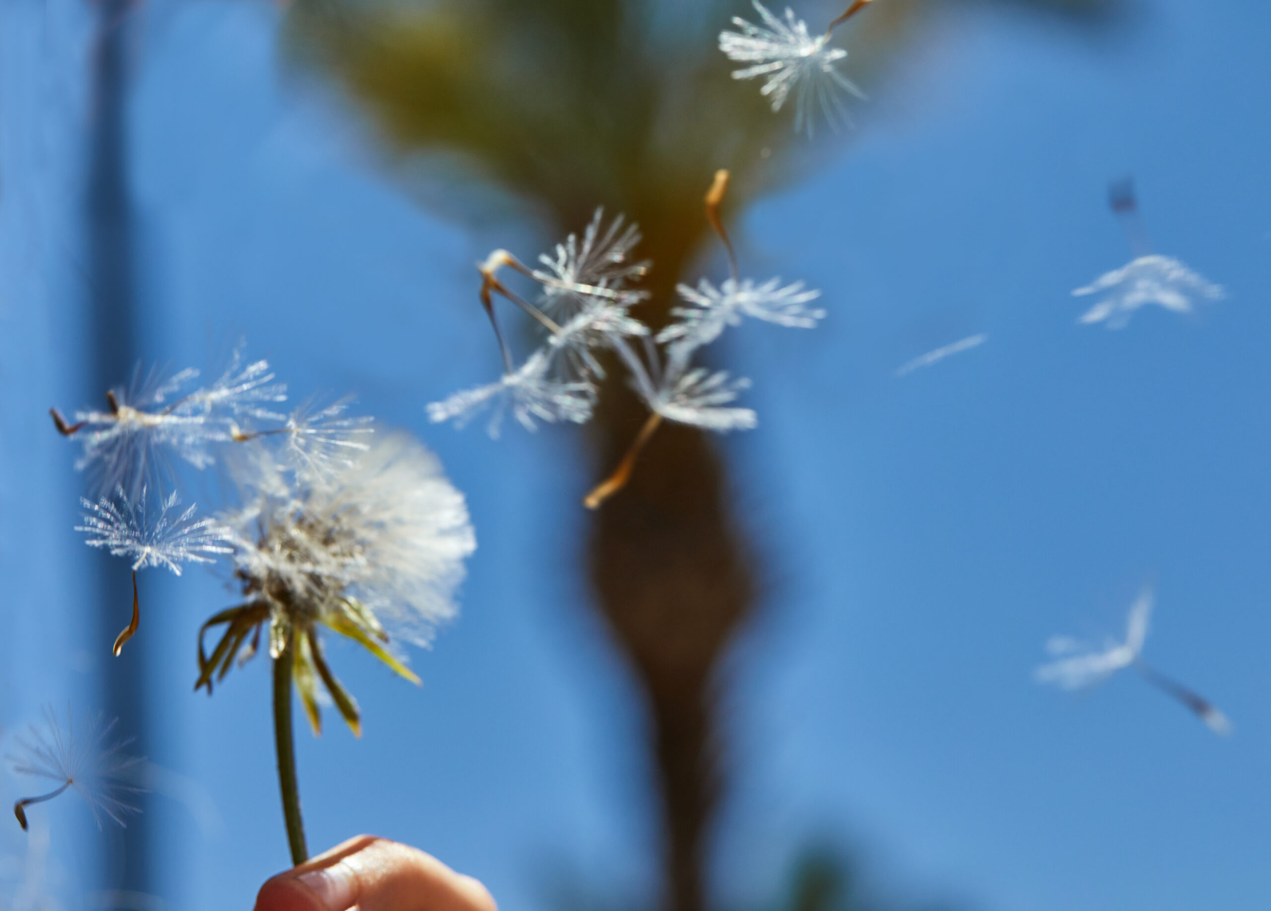 Talking to Loved Ones About Funeral Wishes